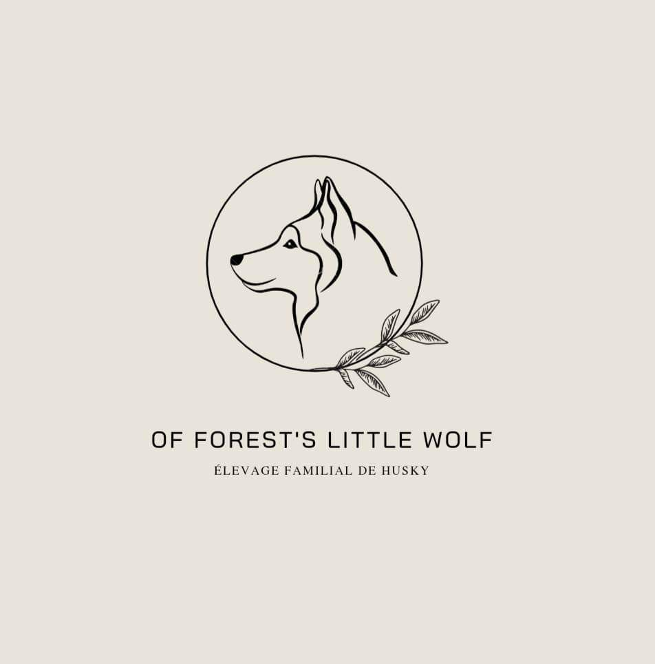 Of Forest's Little Wolf